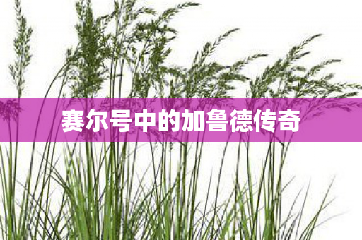 赛尔号中的加鲁德传奇图片