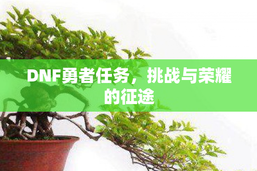 挑战与荣耀的征途图片