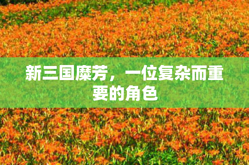 一位复杂而重要的角色图片