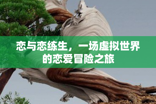 一场虚拟世界的恋爱冒险之旅图片