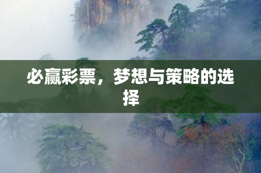 梦想与策略的选择图片