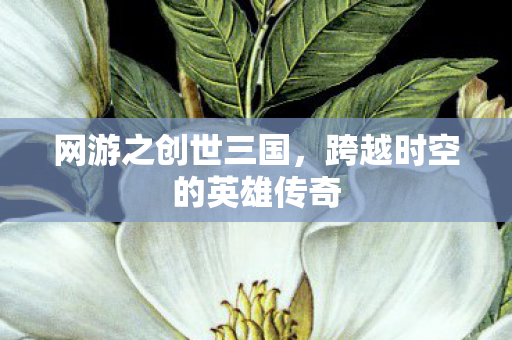 跨越时空的英雄传奇图片
