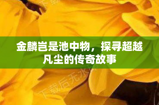 探寻超越凡尘的传奇故事图片