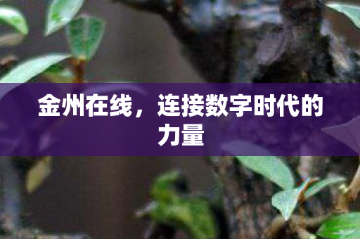 连接数字时代的力量图片
