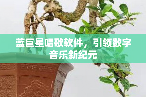 引领数字音乐新纪元图片