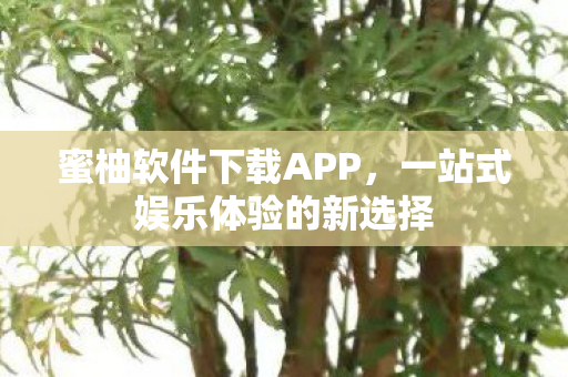 一站式娱乐体验的新选择图片