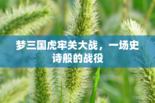 梦三国虎牢关大战图片