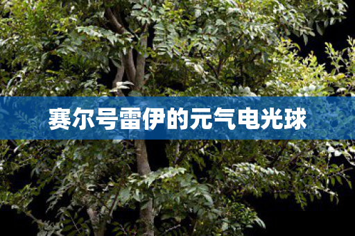 赛尔号雷伊的元气电光球图片