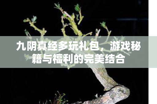 游戏秘籍与福利的完美结合图片