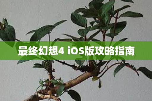最终幻想4 iOS版攻略指南图片