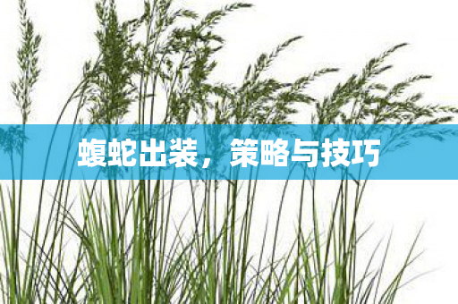 策略与技巧图片