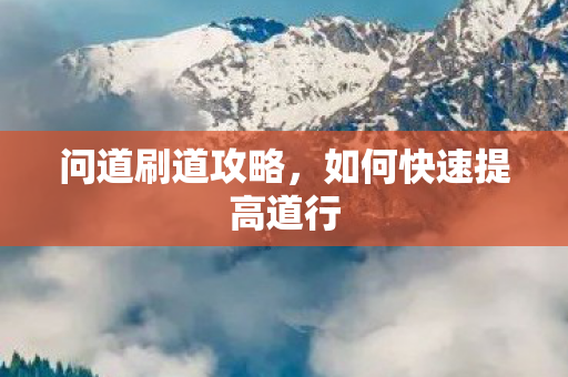 如何快速提高道行图片