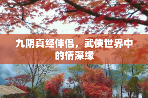 武侠世界中的情深缘图片