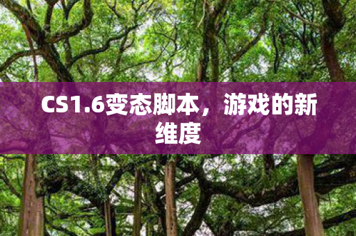 游戏的新维度图片