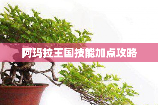 阿玛拉王国技能加点攻略图片