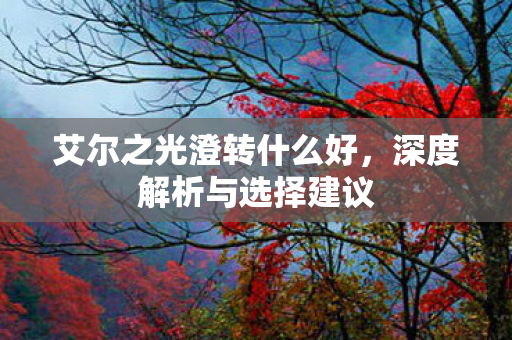艾尔之光澄转什么好图片