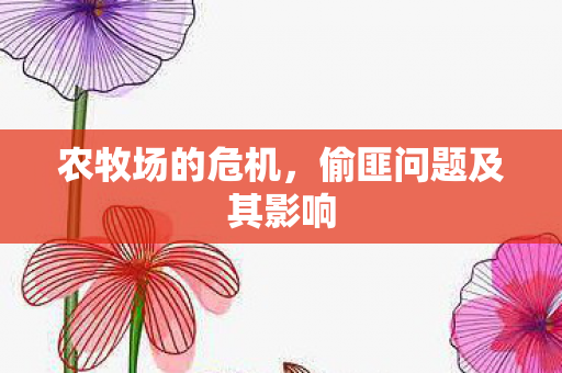 偷匪问题及其影响图片