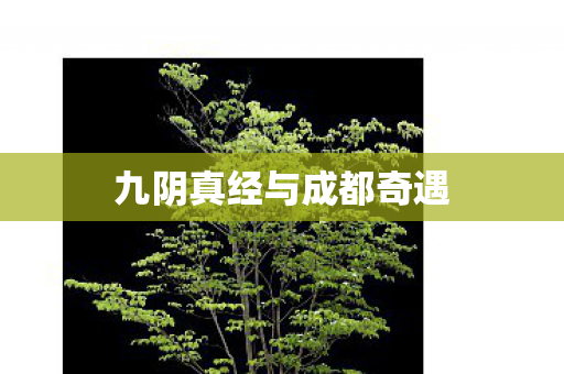 九阴真经与成都奇遇图片