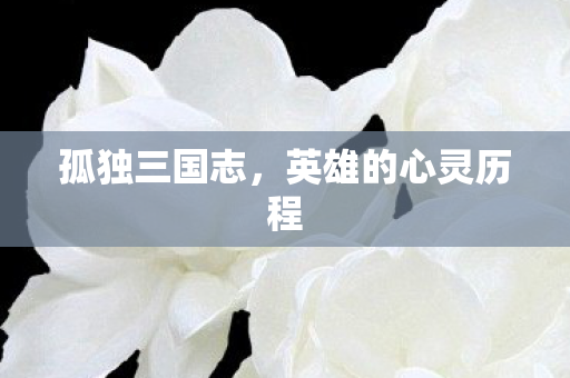 英雄的心灵历程图片