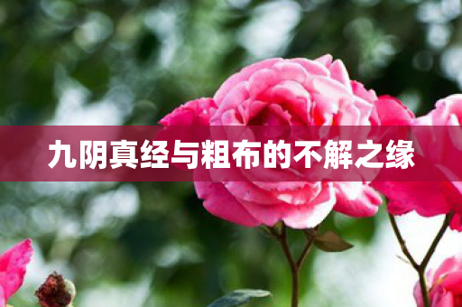 九阴真经与粗布的不解之缘图片