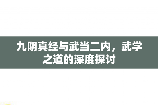九阴真经与武当二内图片