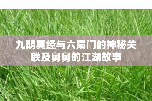 九阴真经与六扇门的神秘关联及舅舅的江湖故事图片