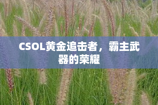 CSOL黄金追击者图片