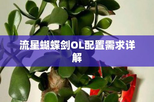 流星蝴蝶剑OL配置需求详解图片
