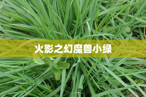 火影之幻魔兽小绿图片