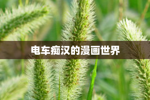 电车痴汉的漫画世界图片