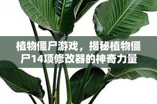 揭秘植物僵尸14项修改器的神奇力量图片