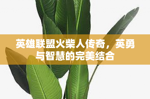 英勇与智慧的完美结合图片