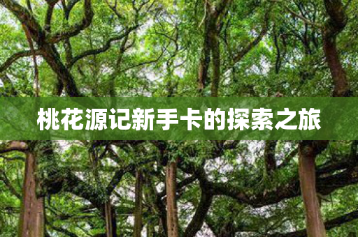 桃花源记新手卡的探索之旅图片