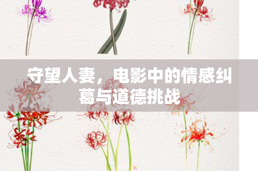 电影中的情感纠葛与道德挑战图片