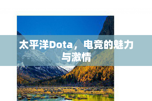 电竞的魅力与激情图片