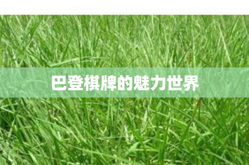 巴登棋牌的魅力世界图片