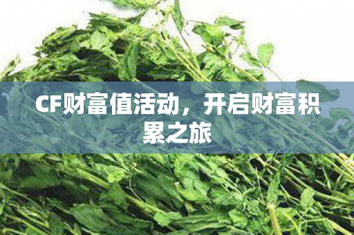 开启财富积累之旅图片