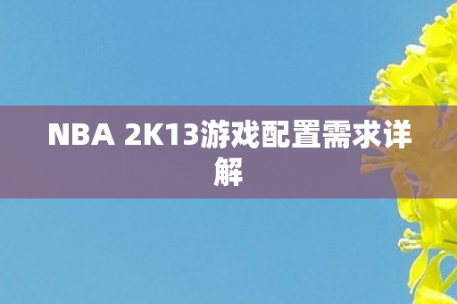NBA 2K13游戏配置需求详解图片