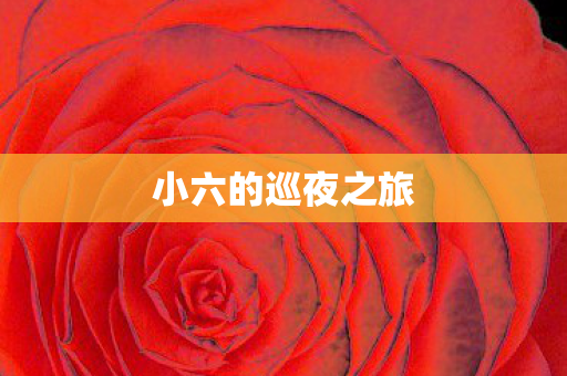 小六的巡夜之旅图片