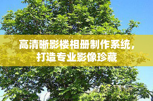 高清晰影楼相册制作系统图片