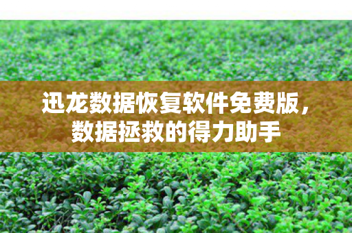 迅龙数据恢复软件免费版图片