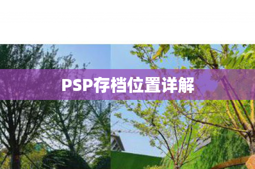 PSP存档位置详解图片
