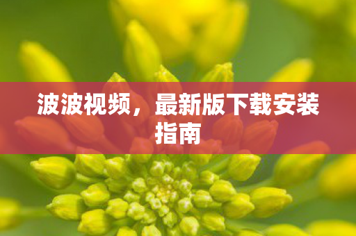 最新版下载安装指南图片