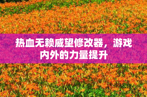 热血无赖威望修改器图片