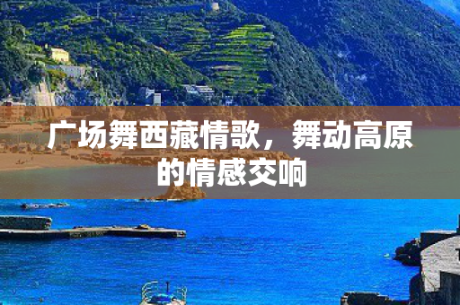 舞动高原的情感交响图片