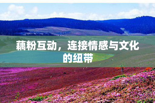连接情感与文化的纽带图片