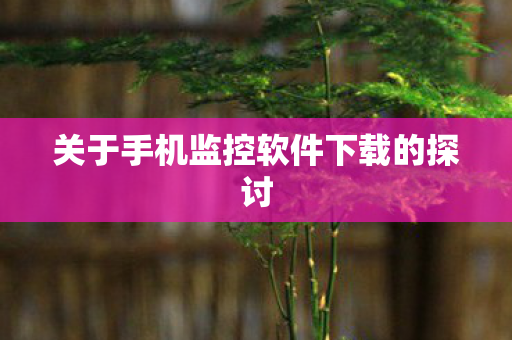 关于手机监控软件下载的探讨图片