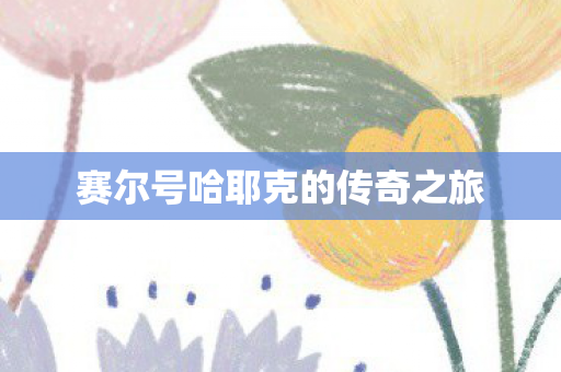 赛尔号哈耶克的传奇之旅图片
