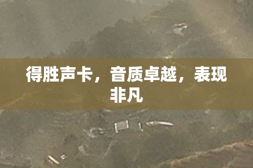 得胜声卡图片