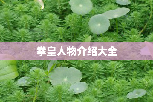 拳皇人物介绍大全图片